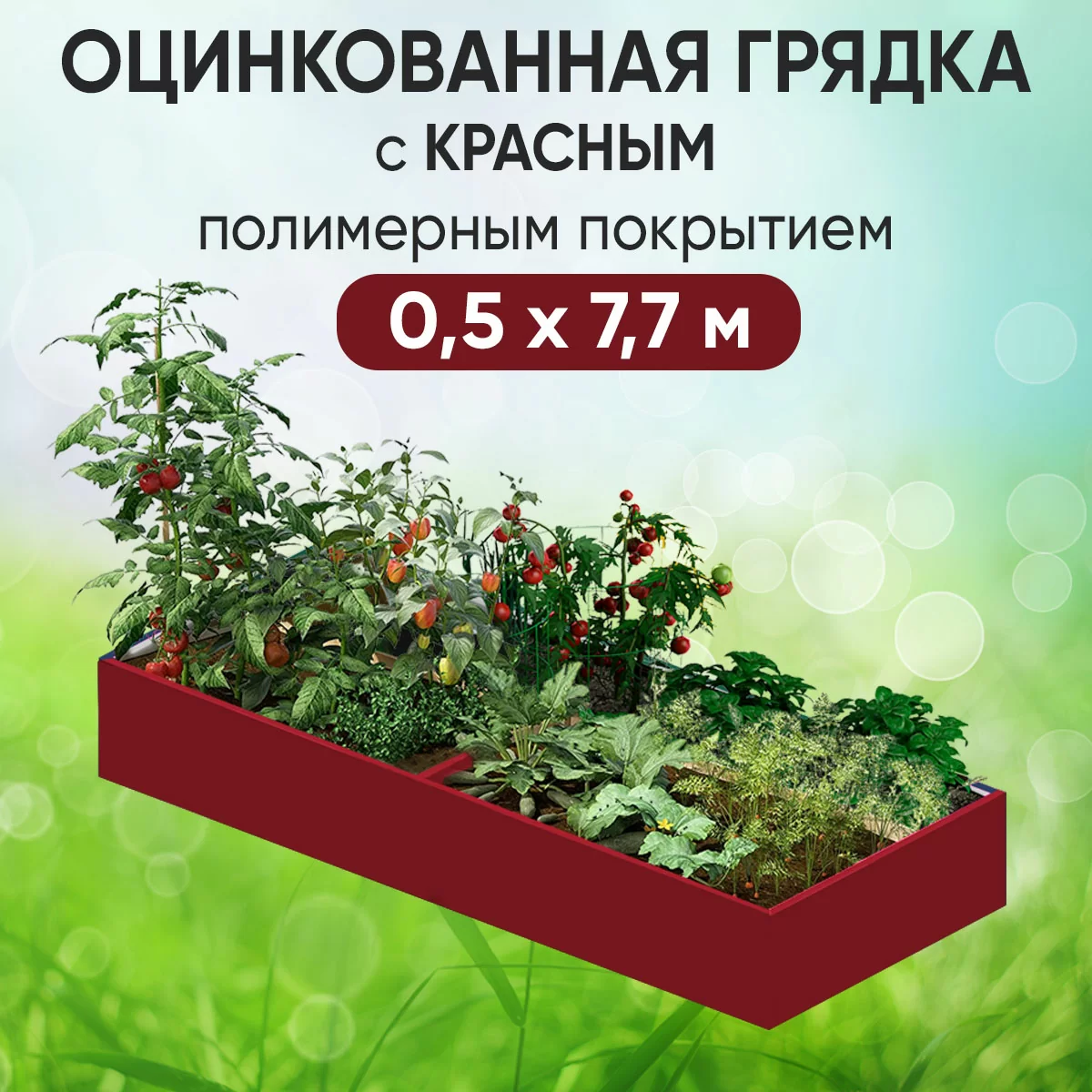 Грядка красная (0,5 х 7,7)